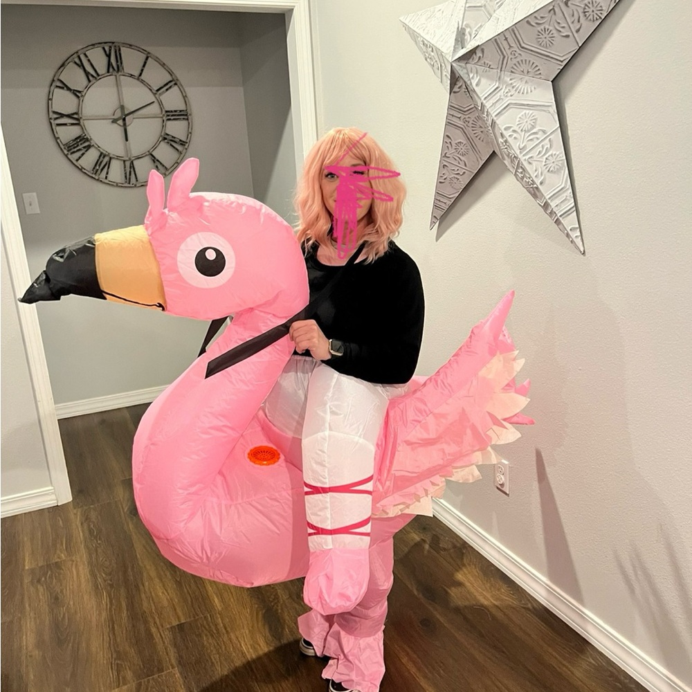 Inflatable Pink Flamingo Costume
